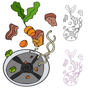 Garbage disposal with food scraps including vegetables and meat, illustrating common debris that can cause odors in kitchen sinks.