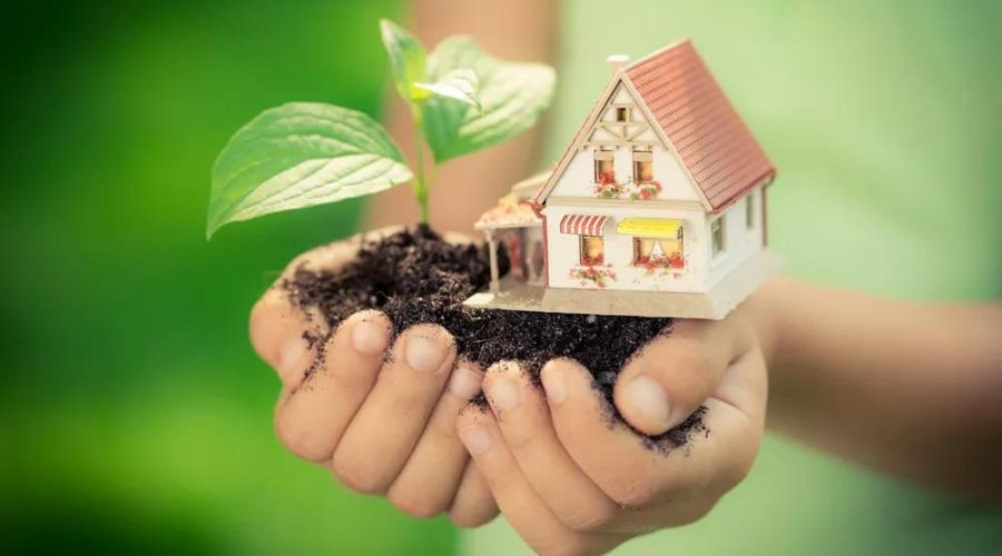 Hands holding a small house model with a green plant and soil, symbolizing home maintenance and eco-friendly practices in plumbing.